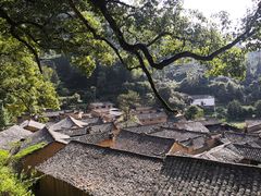 -杨家堂村
