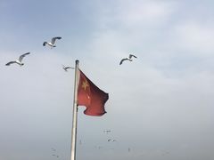 -皮口港