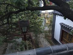 -老张烤羊(王哥庄店)