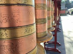 -护国法轮寺
