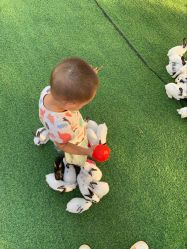 -萌宠亲子动物乐园(槐房万达店)