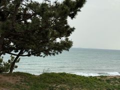 -青岛海景花园大酒店