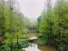 -云溪植物园