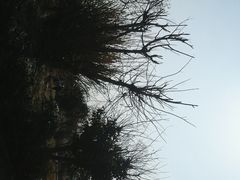 -桤木河湿地公园