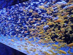 -成都浩海立方海洋公园