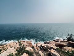 -广东惠东海龟国家级自然保护区