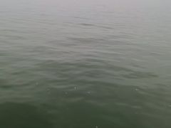 -西湖外事游船(湖滨二公园外事游船码头)