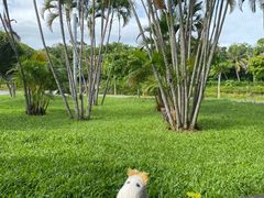 -万绿园