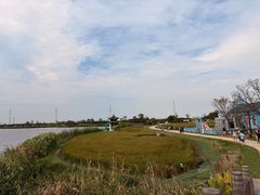 -杭州湾海上花田景区