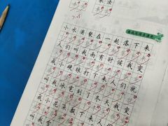 -赵汝飞练字硬笔书法(静安大融城校区)
