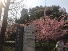 -自然博物馆(地铁站)