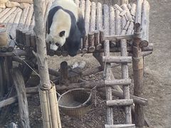 -青藏高原野生动物园