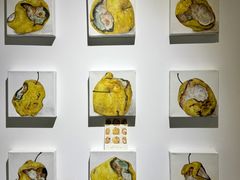 -辰熙ACX星海艺术中心