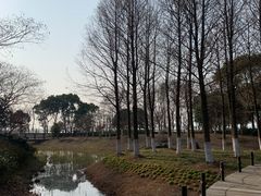 -阳澄湖半岛旅游度假区