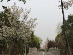 -尚贤河湿地