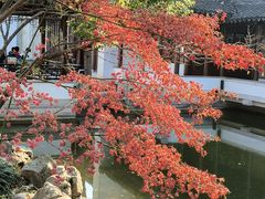 -秋霞圃