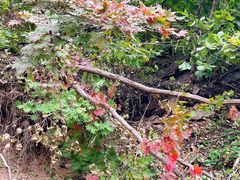 -本溪关山湖风景区