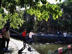 -黑龙江省森林植物园