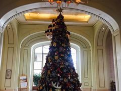 -利顺德大饭店·维多利亚花园(小白楼店)