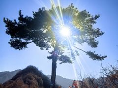 -秦岭终南山世界地质公园翠华山景区