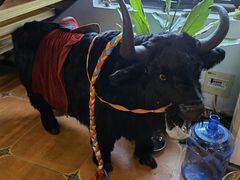 -后院犇牛主题餐厅(云岗店)