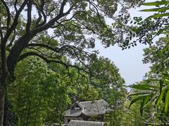 -岳麓山风景名胜区