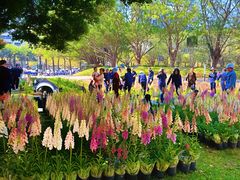 -华南师范大学(广州大学城校区)