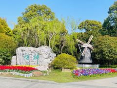 -上海鲜花港