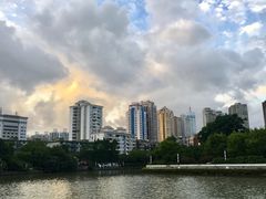 -新湖明珠城