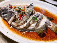 -莲花公园煎蟹(总店)