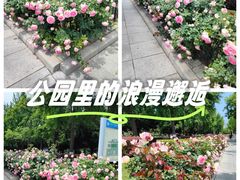 -大连人民广场