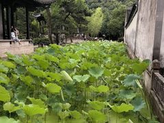 -兰亭风景区