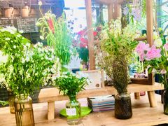-北马山庄植趣咖啡
