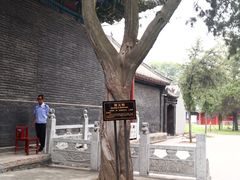 -关林