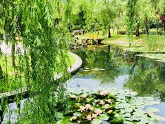 -宁波九龙湖开元度假村