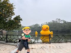 -大雁山风景区