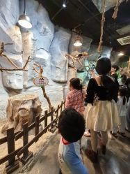 -Zoolung Zoolung动物主题公园(海信广场店)