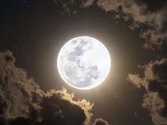 -蟹肉煲蟹肉(阊胥路店)