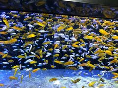 -成都浩海立方海洋公园