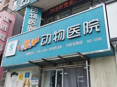-瑞派宠物医院·24h·骨外科·皮肤科·全科宠物医疗转诊中心(沈阳浑南院)