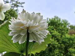 -云溪植物园