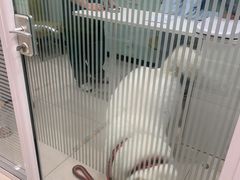 -悦宠凯宝动物医院·牙科·皮肤科(朝阳北路店)