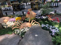 -上海共青森林公园