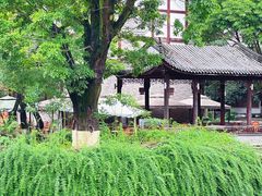 -龙潭水乡