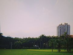 -东风公园