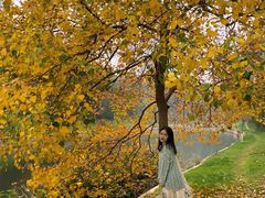 -四里河滨水生态公园