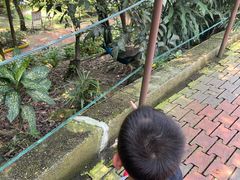 -吉隆坡雀鸟公园