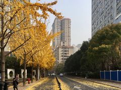 -上海市徐汇区口腔医院