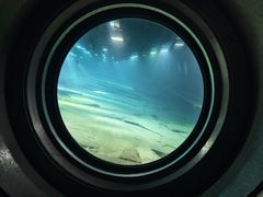 -白鹤梁水下博物馆