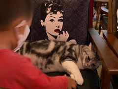 -咖法森林·咖啡  酒吧(天河店)